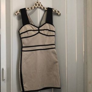 BCBG Dress